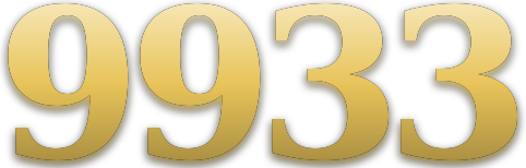 9933 logo
